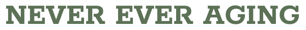 nevereveraging